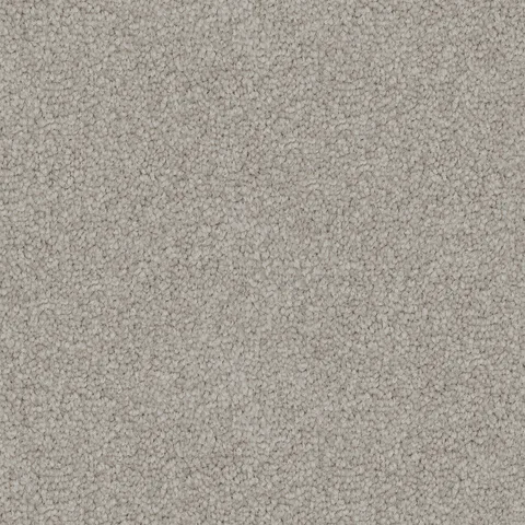 Wild Dove carpet swatch